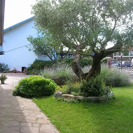 Lavanda E Timo Goro