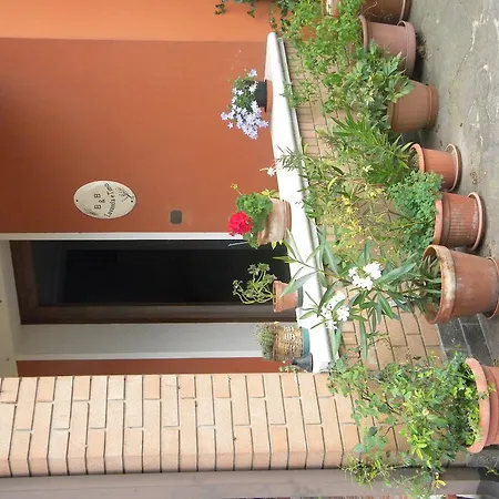 Lavanda E Timo